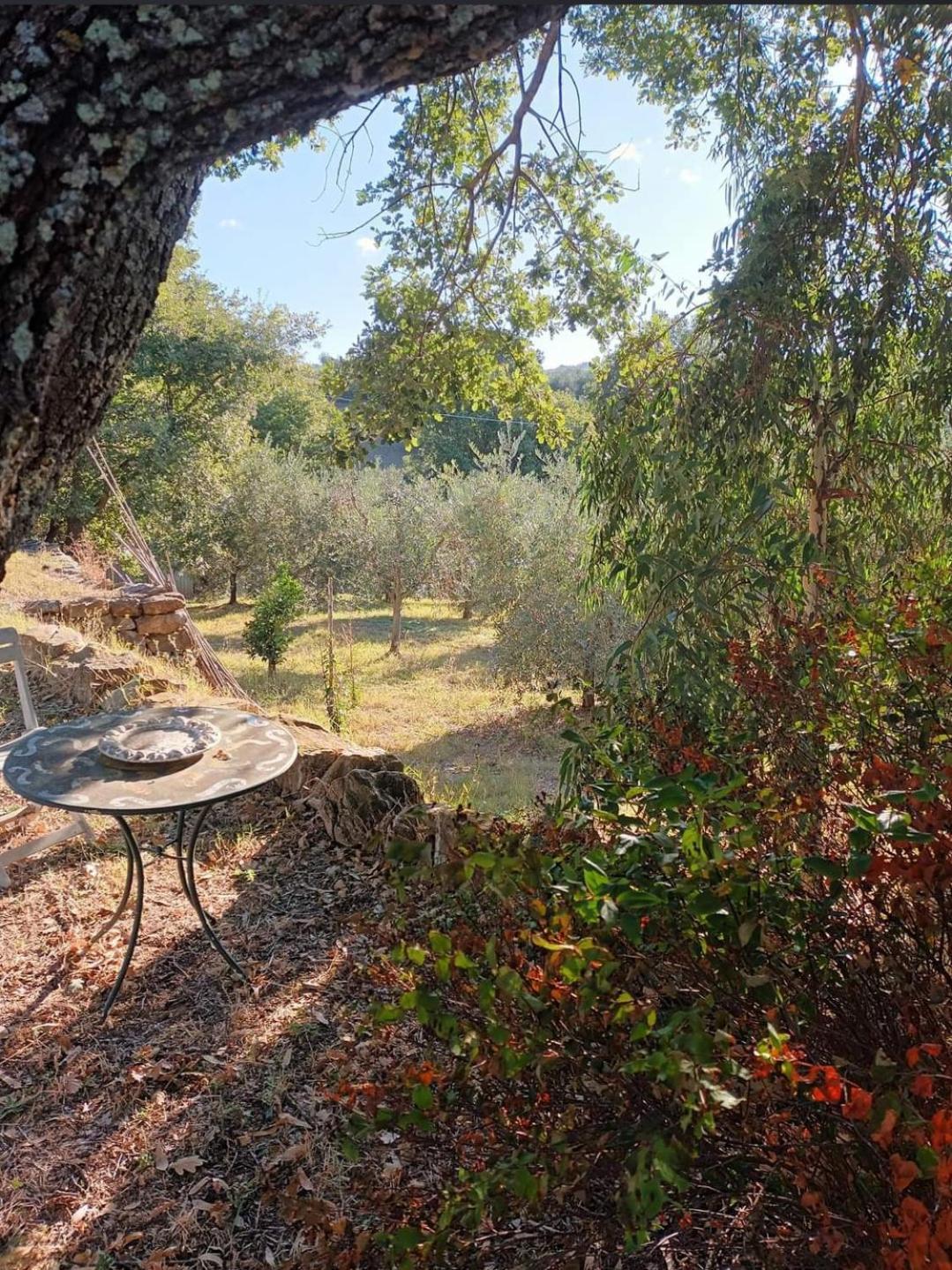 Casa In Maremma Appartement Montemerano Buitenkant foto