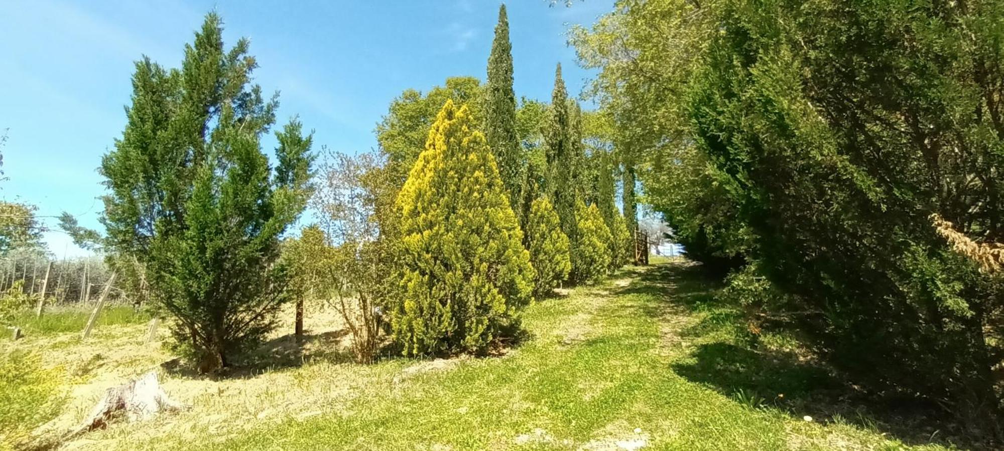 Casa In Maremma Appartement Montemerano Buitenkant foto