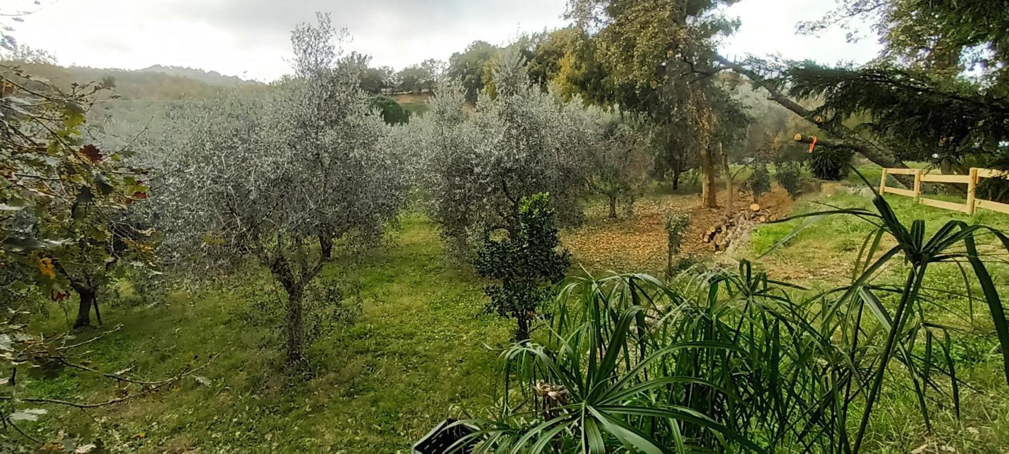 Casa In Maremma Appartement Montemerano Buitenkant foto